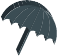 Insurance Coverage